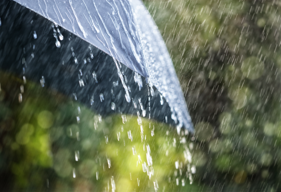 Утром на Абшеронском полуострове местами ожидаются кратковременные дожди