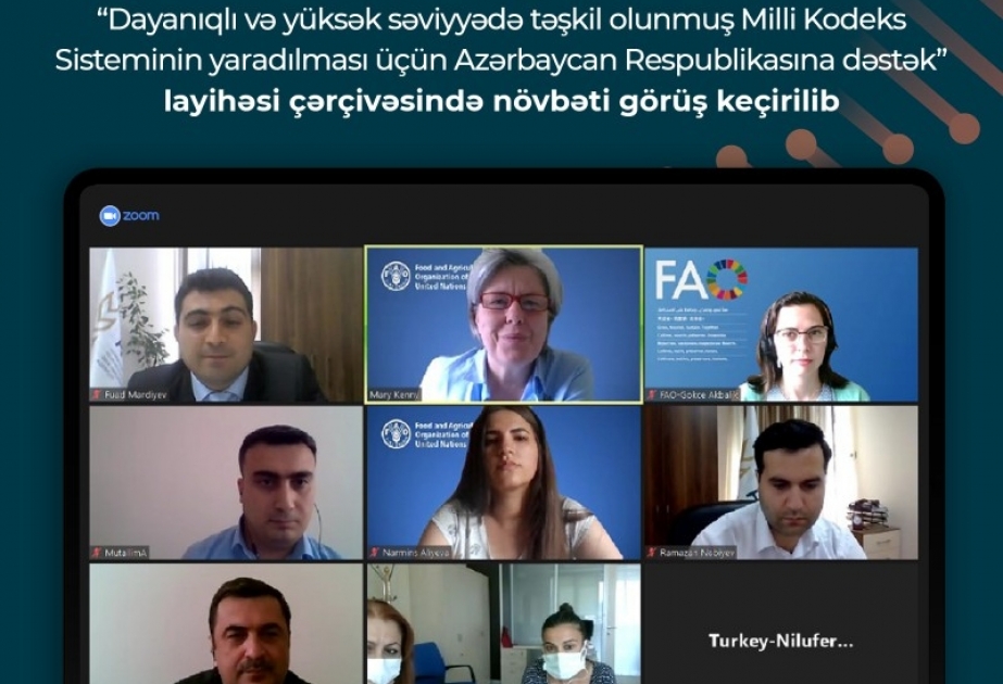 Milli Kodeks Sisteminin yaradılması üçün Azərbaycana dəstək layihəsi çərçivəsində növbəti görüş keçirilib