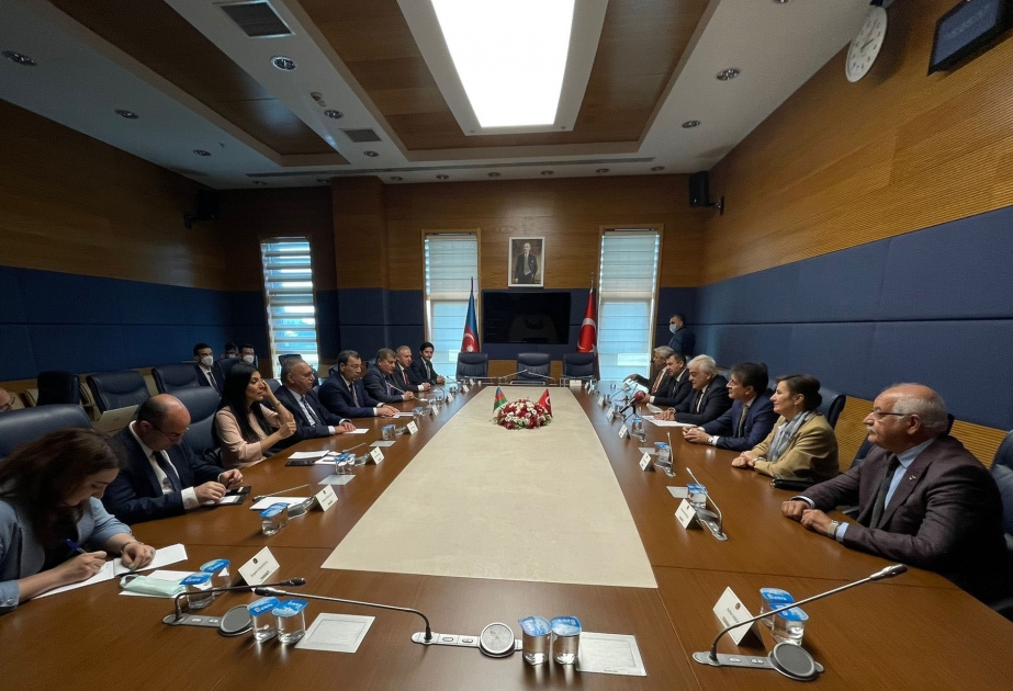 Azərbaycan və Türkiyə parlamentləri arasında əməkdaşlıq yüksələn xətlə inkişaf edir