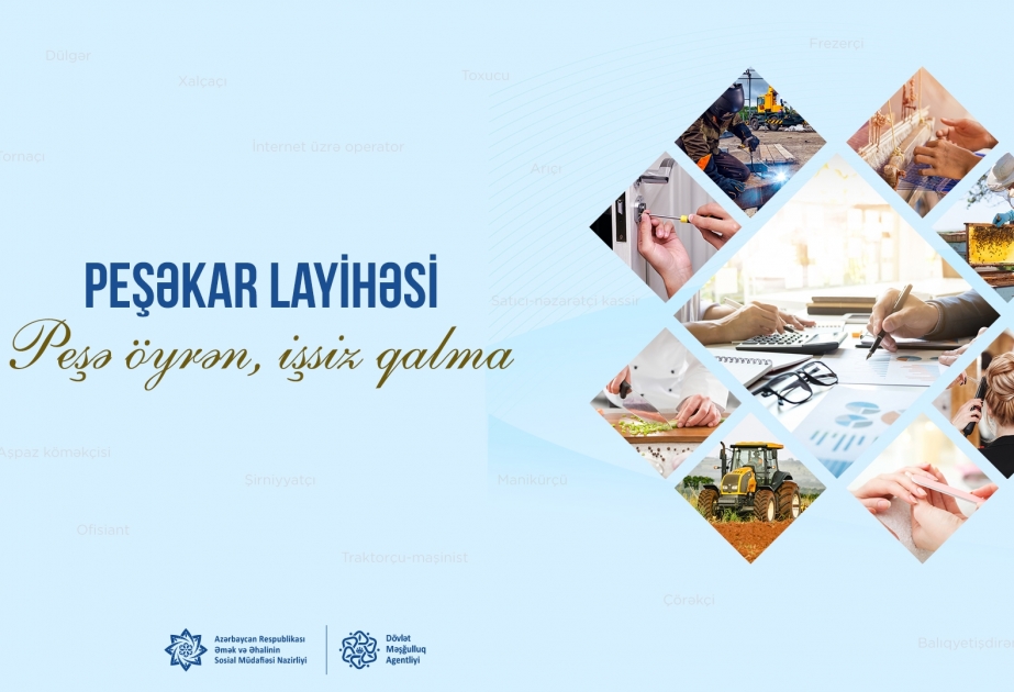 Dövlət Məşğulluq Agentliyi “Peşəkar” layihəsinə start verir