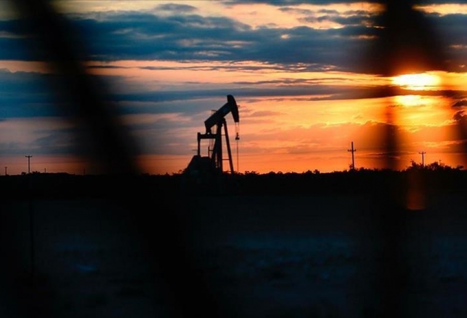 Cari ildə qlobal neft tələbatı sutkada 96,6 milyon barel olacaq
