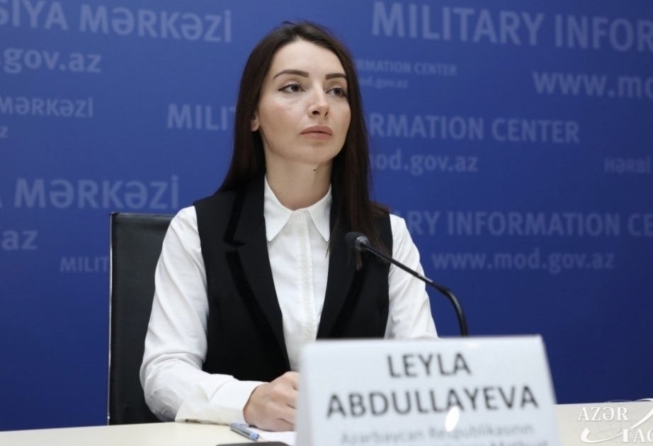 Leyla Abdullayeva: Armenian deputy PM forgot that the elections are over; now is the time to do real things, not populism