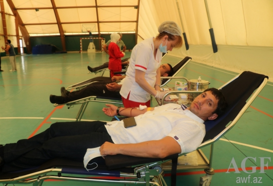Azərbaycan Güləş Federasiyası qanvermə aksiyası keçirib