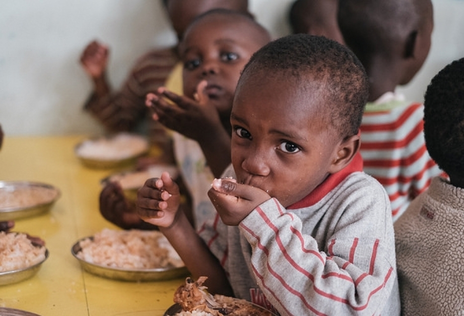 Правительство Швеции откликнулось на призыв Генерального секретаря ООН по оказанию помощи для предотвращения голода