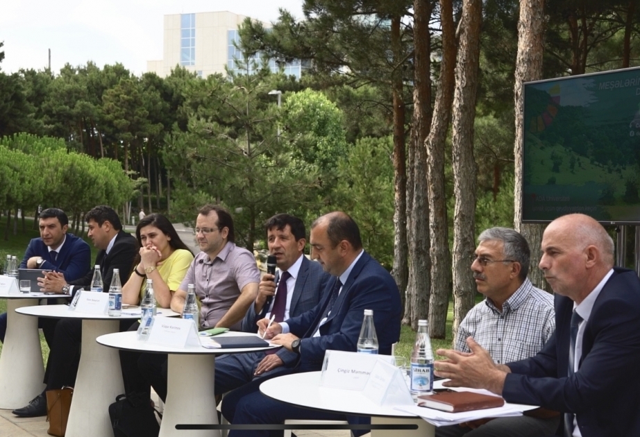 Los activistas ambientales han logrado detener la tala ilegal de árboles