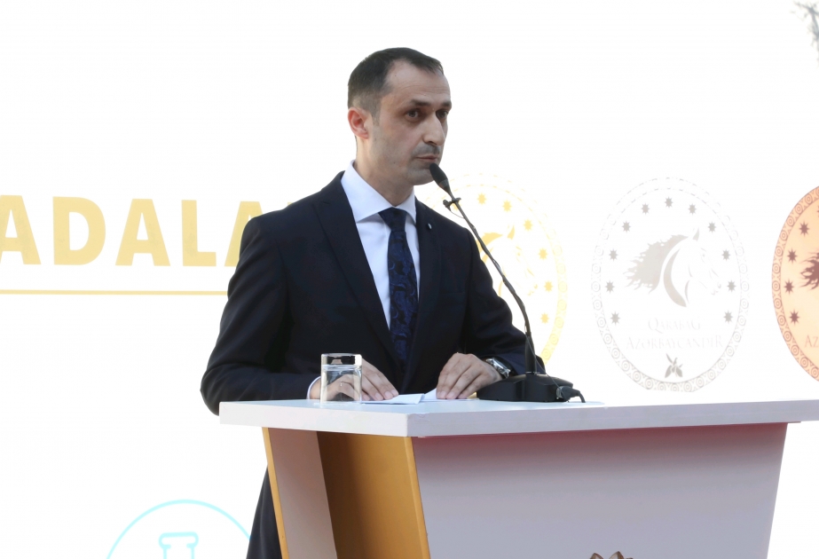 Respublika fənn olimpiadalarında 8 şagird “Birincilərin birincisi” nominasiyasına layiq görülüb