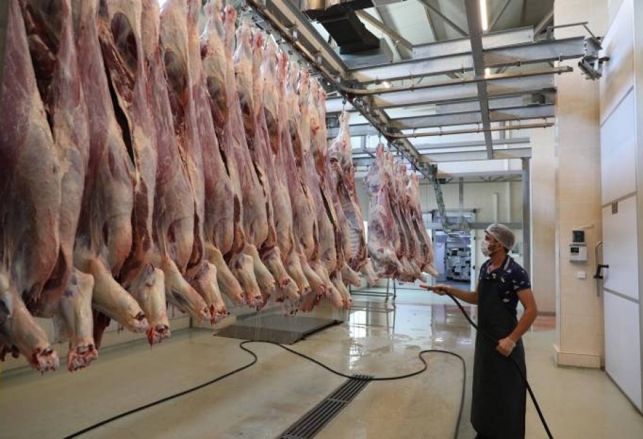 Qurban bayramında 88 ünvanda heyvan satışı və kəsimi xidməti təşkil olunacaq