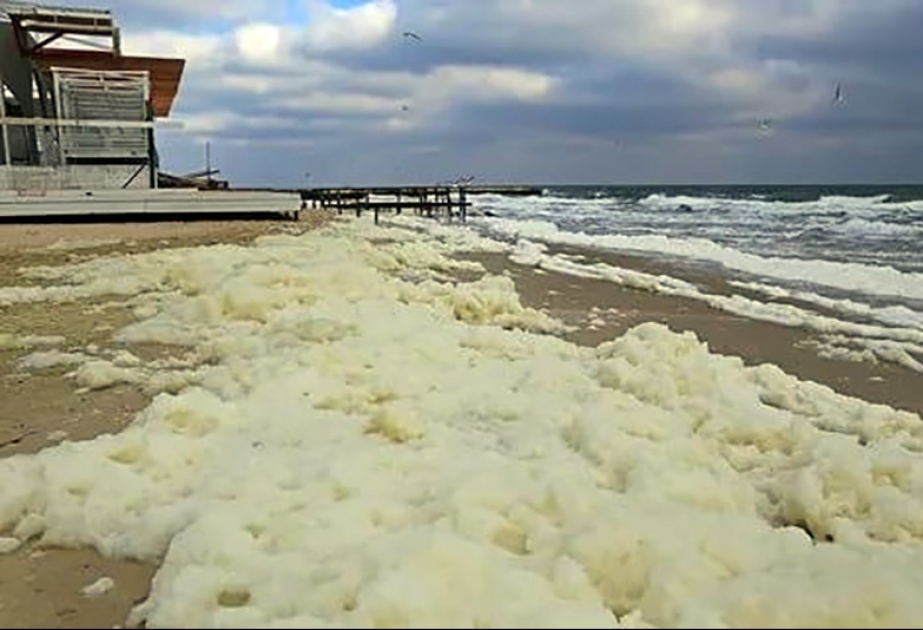 Загадочная белая пена привела к закрытию нескольких пляжей на побережье Веракруса