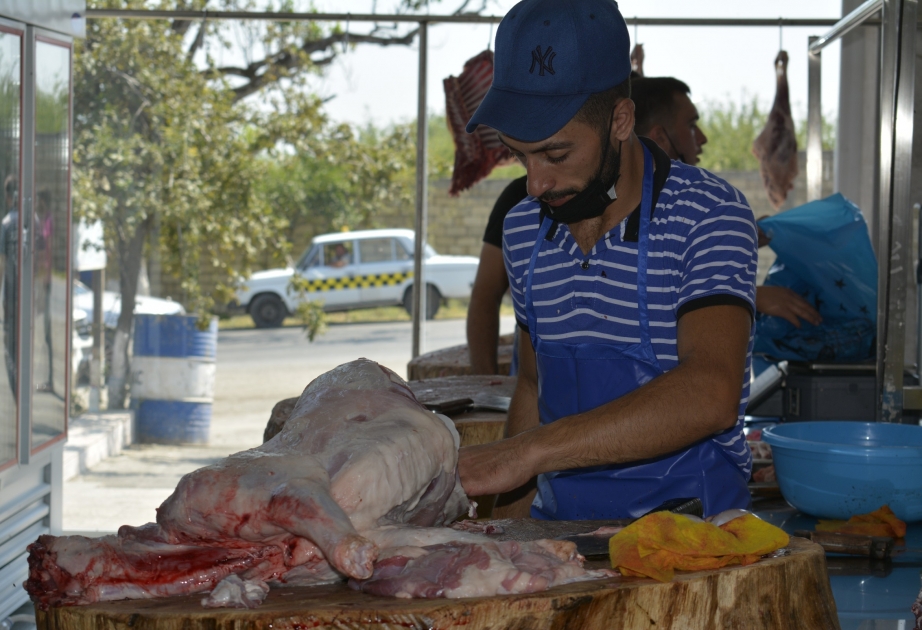 Qubada bayramın ilk günü satışa 500 baş qurbanlıq qoyun çıxarılıb -  REPORTAJ VİDEO