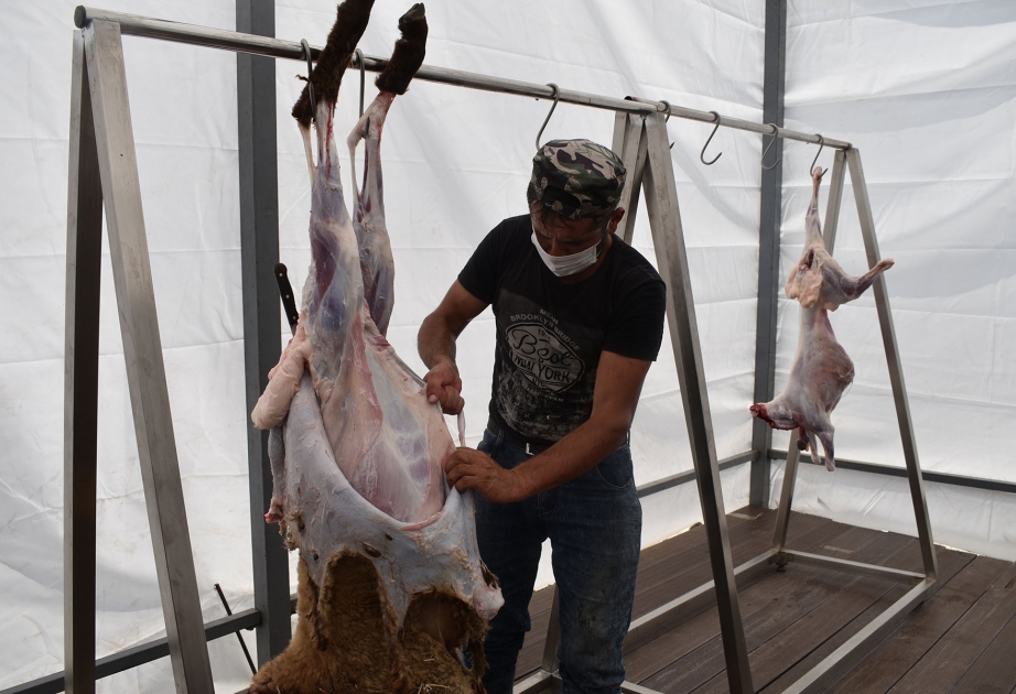 Lənkəranda Qurban bayramı ilə əlaqədar heyvan kəsimi və satışı məntəqəsi təşkil olunub