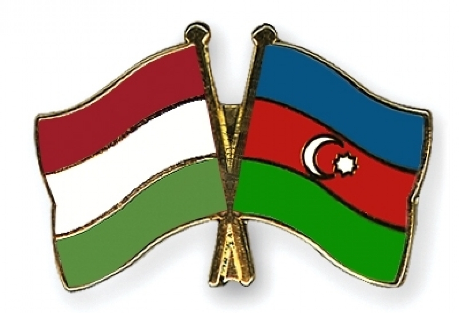الرئيس علييف يعفي سفير البلد في هنغاريا