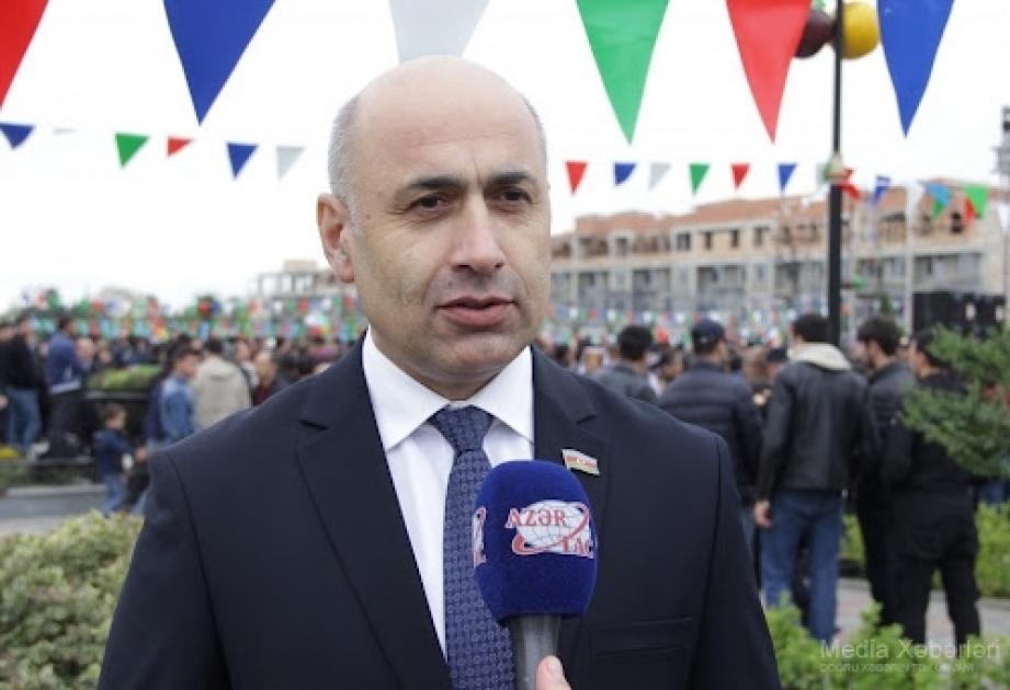 Deputat: Azərbaycan Avropa İttifaqının enerji təminatının yeganə alternativ mənbəyi kimi çıxış edir