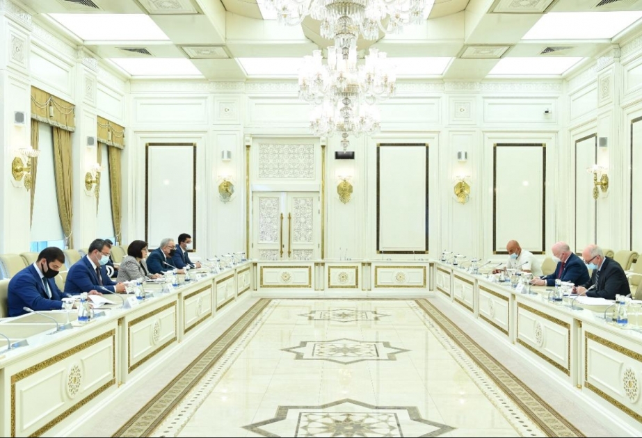 Sahibə Qafarova Avropa Şurası Parlament Assambleyasının məruzəçisi ilə görüşüb
