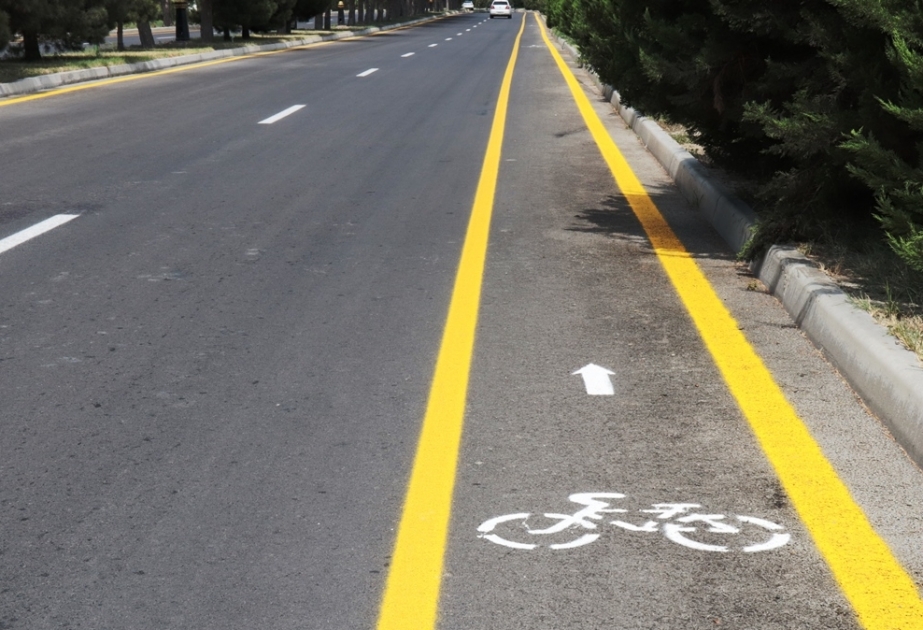Naftalanda yeddi kilometr uzunluğunda ilk veloyol istifadəyə verilib