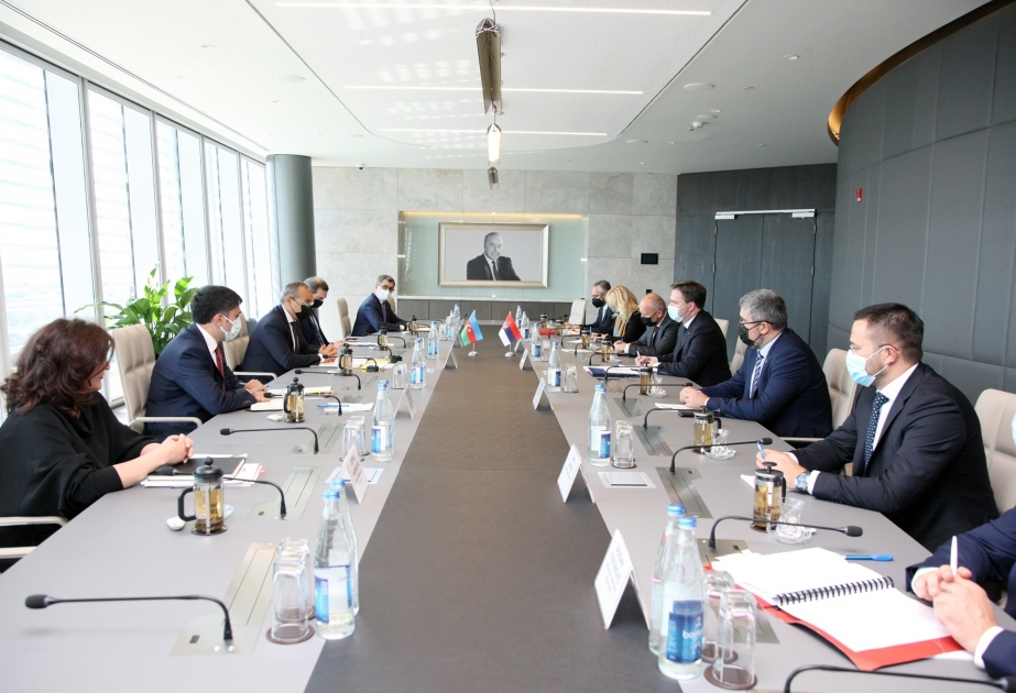 Participation of Serbian investors and companies in restoration of Azerbaijan`s liberated territories discussed