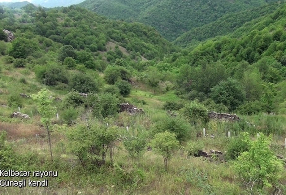 Azerbaijan’s Defense Ministry releases video footages of Gunashli village, Kalbajar district VIDEO