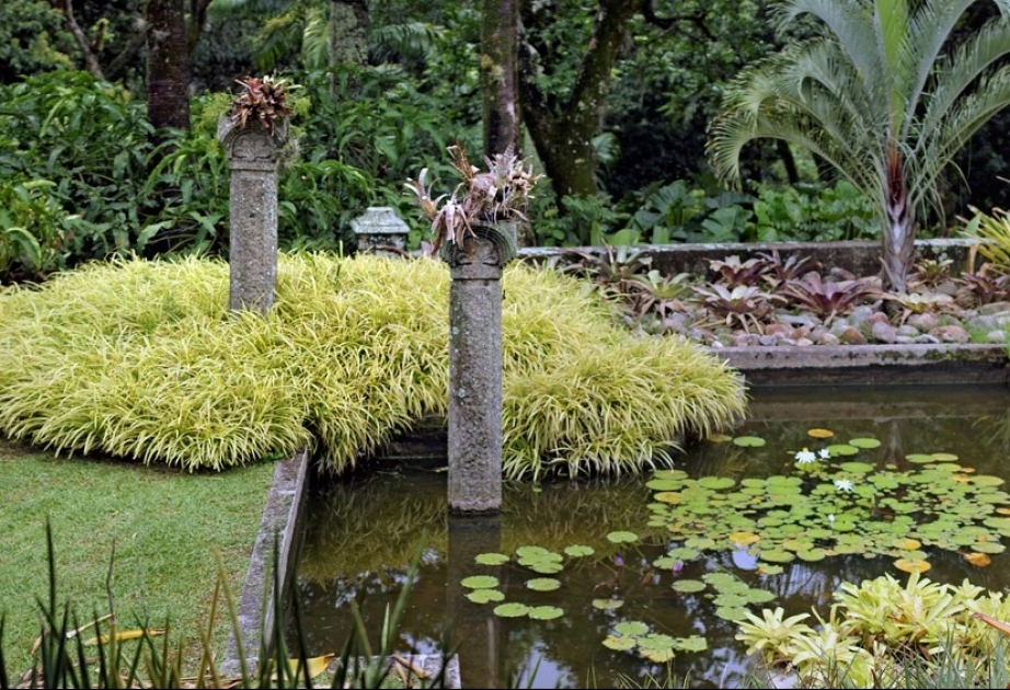 Тропический сад в Рио-де-Жанейро внесен в Список всемирного наследия ЮНЕСКО

