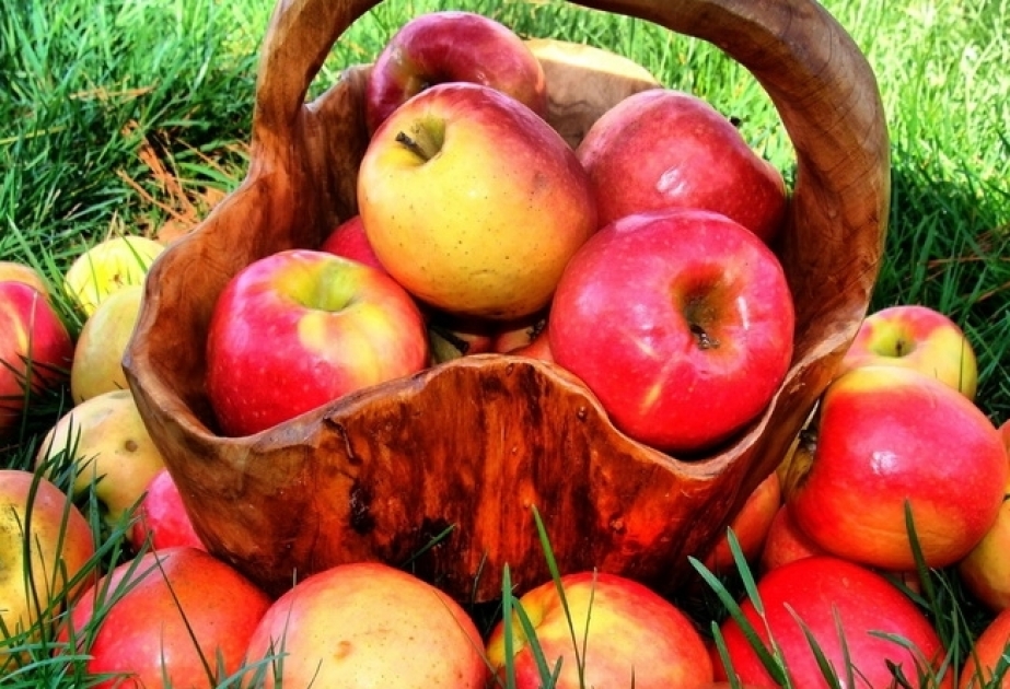 L'Azerbaïdjan a exporté près de 26 000 tonnes de pommes en six mois