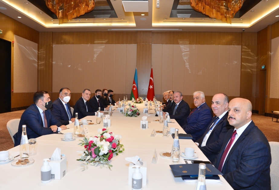 Ceyhun Bayramov: Bakı Bəyannaməsi ölkələrimiz və xalqlarımız arasında əlaqələrin inkişafına böyük töhfə verəcək