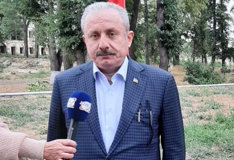 Mustafa Şentop: