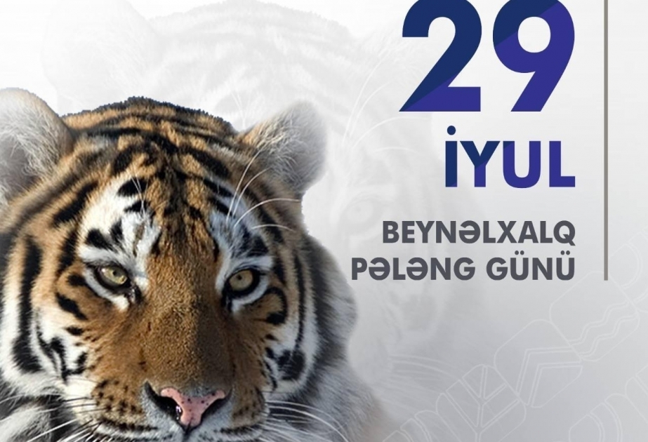 Hoy es el Día Internacional del Tigre