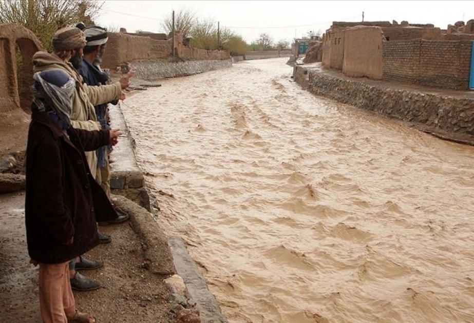 По меньшей мере 40 человек погибли в афганской провинции Нуристан в результате ливневого паводка