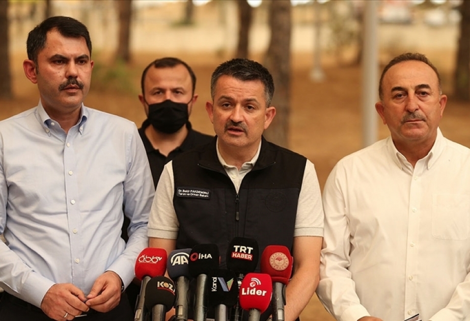 Baş verən yanğınlar nəticəsində Antalyada indiyədək 2300 tikili zərər görüb
