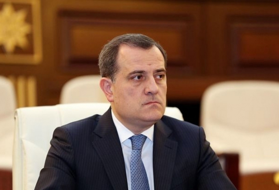 Azerbaijani FM extends condolences to Turkey over massive forest fires