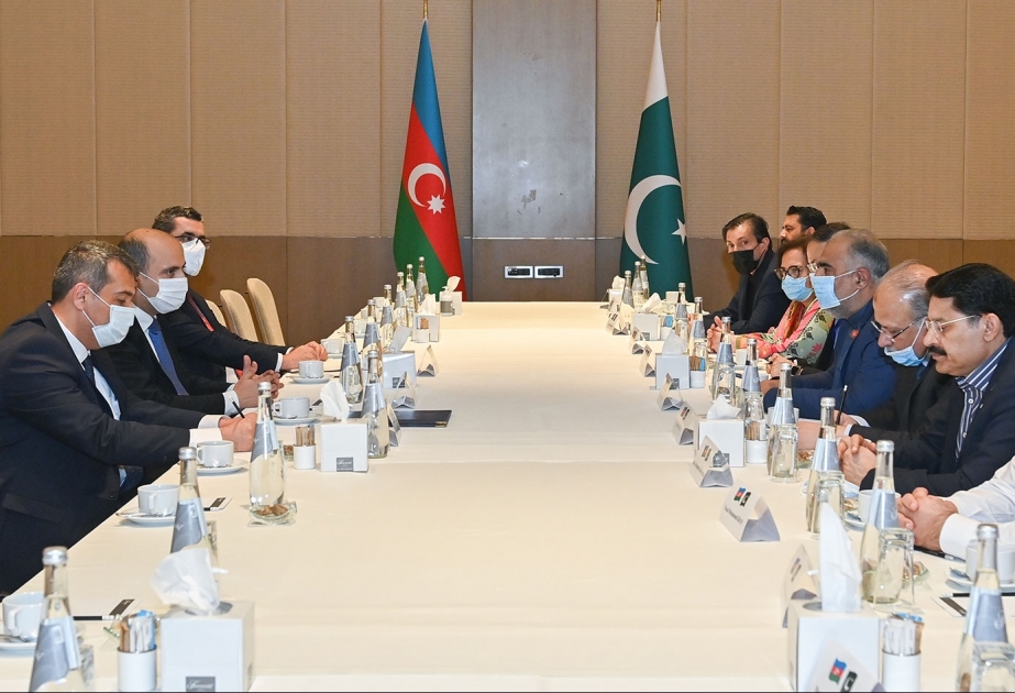 Azərbaycan və Pakistan arasında təhsil sahəsində əməkdaşlıq perspektivlərinə dair fikir mübadiləsi aparılıb