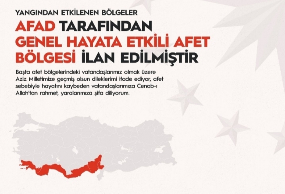 Las regiones afectadas por los incendios forestales se han declarado zonas catastróficas en Turquía