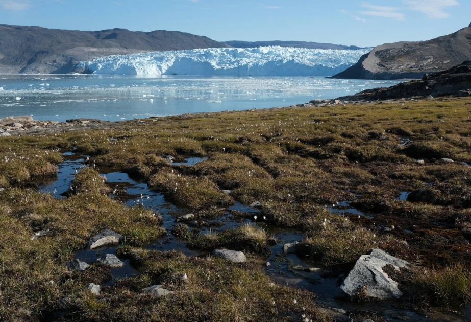 Гренландия потеряла огромное количество ледяного покрытия из-за установившейся теплой погоды