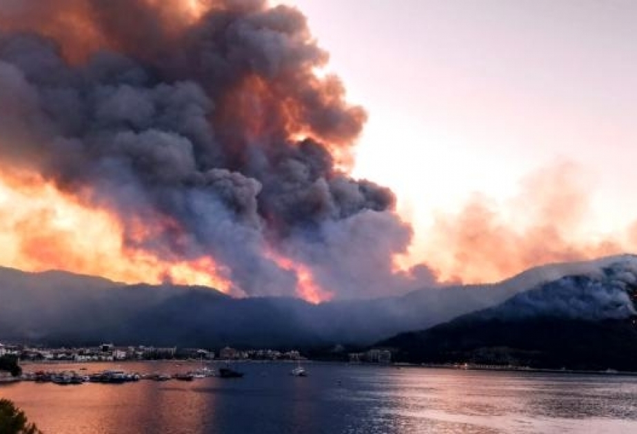 Türkiyənin Muğla vilayətində baş verən yanğınla əlaqədar bir nəfər saxlanılıb
