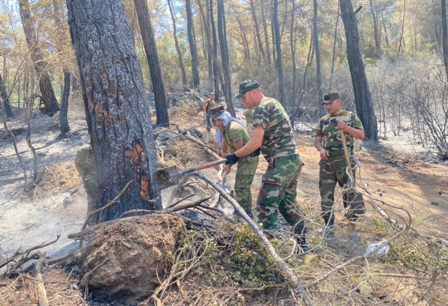 Bomberos del Ministerio de Emergencias de Azerbaiyán lograron prevenir la propagación del fuego en algunas direcciones en Turquía