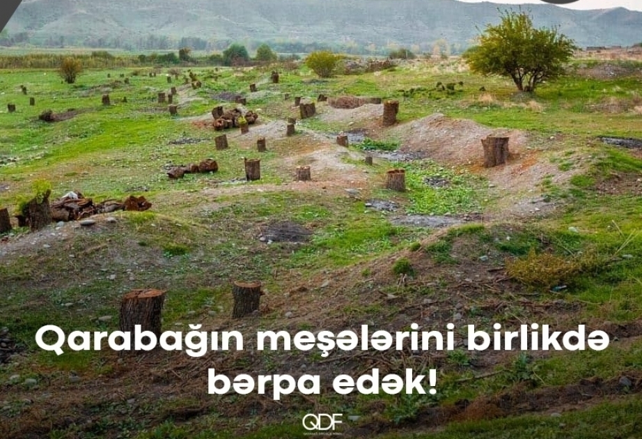 Давайте возродим Карабах еще более зеленым!