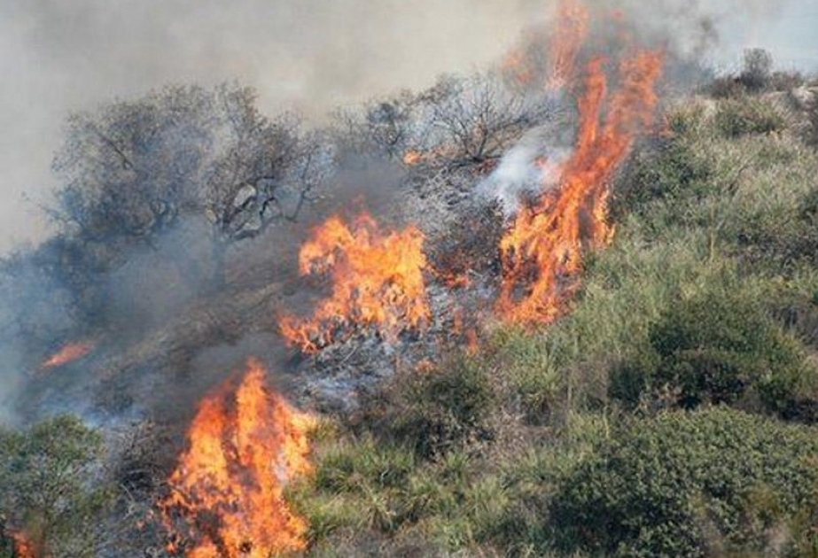 الطوارئ تسخر مروحية لإخماد الحرائق الناشبة مساء الامس في المساحة الغابية في يارديملي