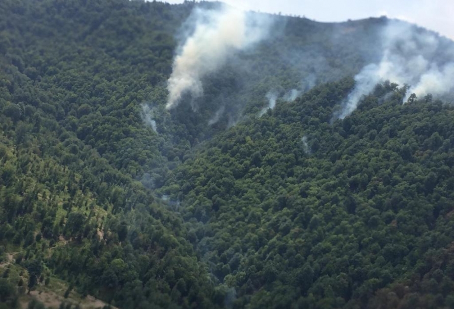 Lənkəranda baş verən yanğının söndürülməsi istiqamətində tədbirlər görülür