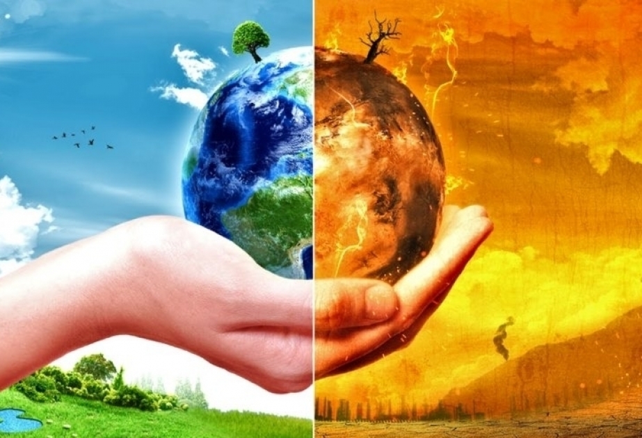 Detengamos el cambio climático-Campaña en la víspera del Día Internacional de la Asistencia Humanitaria