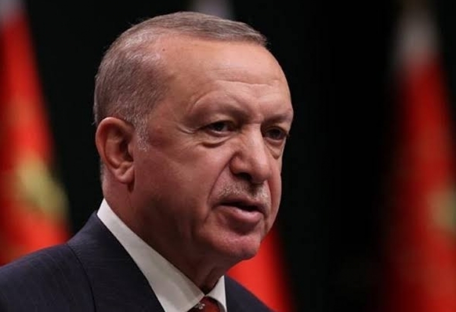 Erdogan remercie les pays et organisations solidaires avec la Turquie contre les feux de forêts
