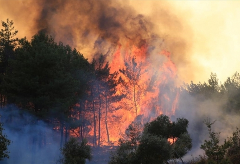 De los 163 incendios en Turquía, 152 han sido contenidos
