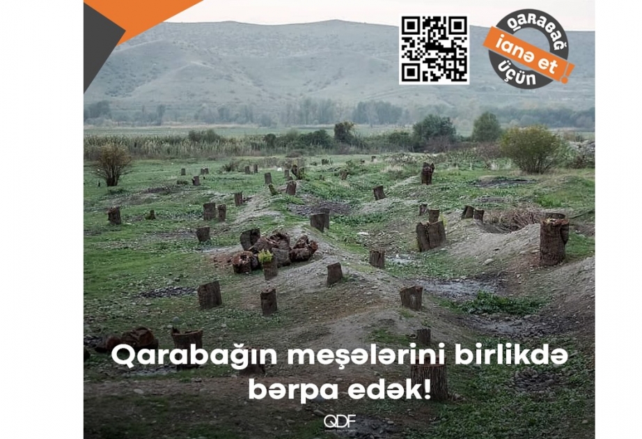 Türkiyədə meşə yanğınları, Qarabağda məhv edilən meşələr və tarixin dərsləri haqqında...