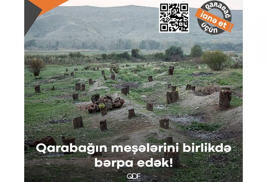 О лесных пожарах в Турции, уничтоженных лесах Карабаха и уроках истории...