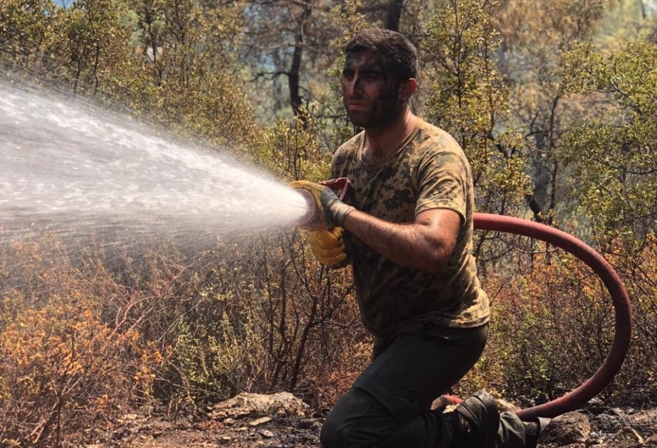 FHN-in yanğınsöndürmə qüvvələri Türkiyədə yanğınlarla mübarizəni davam etdirir