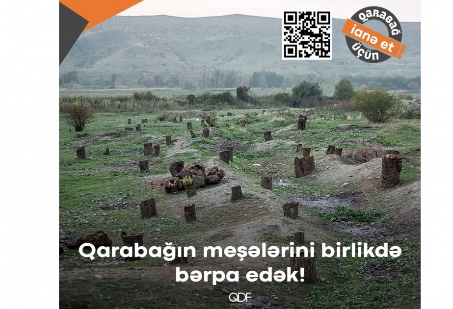 Sobre los incendios forestales en Turquía, los bosques destruidos de Karabaj y las lecciones de historia