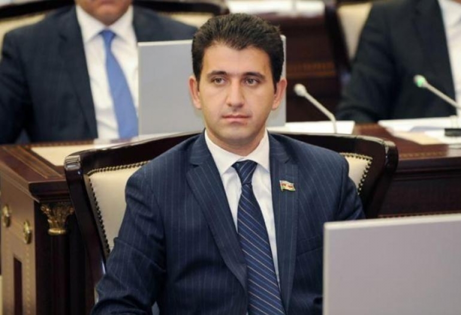 Deputat: Heç bir qüvvə Türkiyəni zəiflədə bilməz