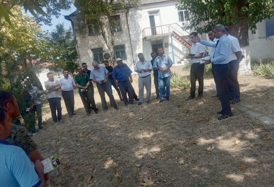 İsmayıllıda aqrar sığorta ilə bağlı görüş keçirilib