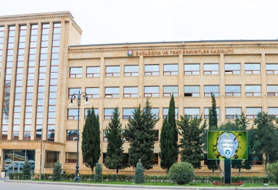 Ağacları məhv etdiyinə görə şirkət cəzalandırılıb