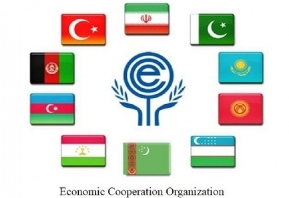الرئيس علييف يعين سفير البلد لدى إيران مندوبا دائما لدى منظمة التعاون الاقتصادي