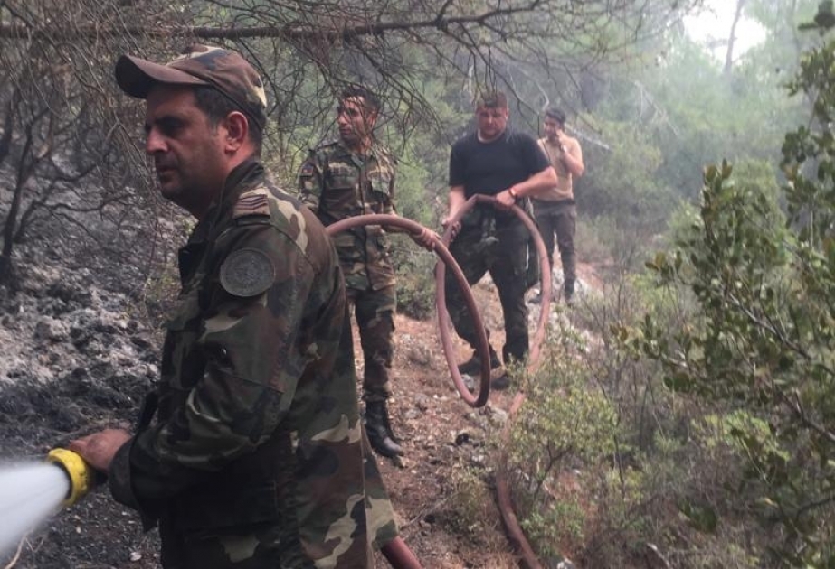 Azərbaycan FHN-in qüvvələri Türkiyədə yanğınlarla mübarizəni davam etdirirlər