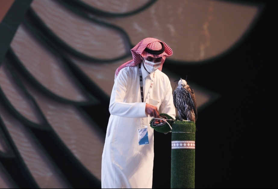 جيل جديد من الصقور في المزاد الدولي لمزارع الإنتاج الذي تستضيفه السعودية