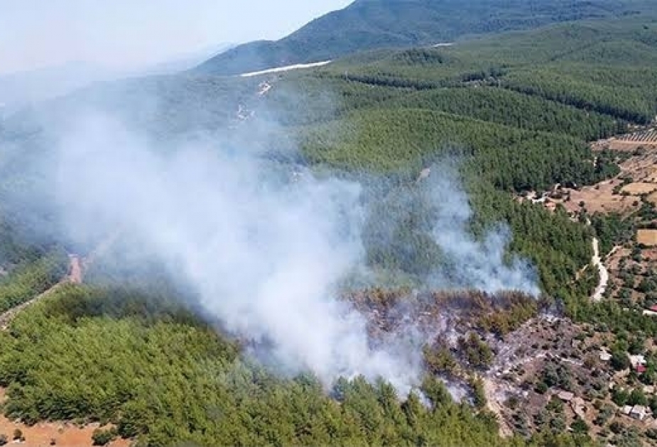 Todos los incendios en Turquía, excepto los en los distritos de Milas y Köyceğiz, han sido controlados